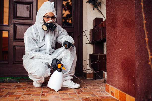 Reliable Rodent Control contractor in Clifton Knolls-Mill Creek, NY by Nex Pest Control