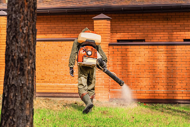 Trusted Emergency Pest Control service in Clifton Knolls-Mill Creek, NY - Nex Pest Control